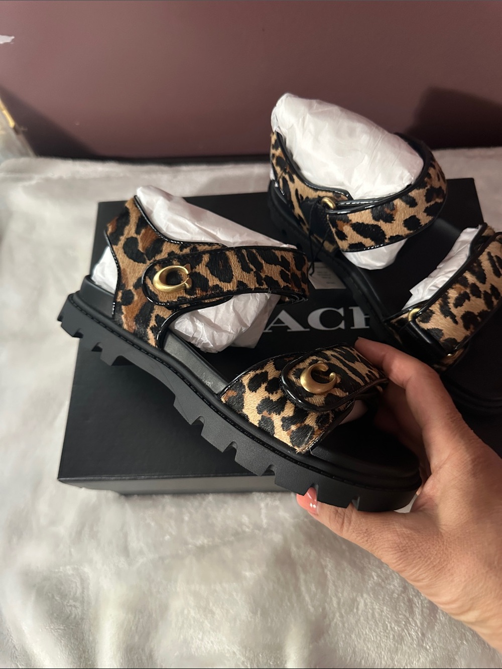 Coach Leopard-Print Slide Sandals in Black and Tan - Picture 3 of 13